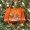 power-orange-neerasluxe-collection-nspn2