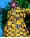 veste-longue-en-wax-capuche-afreekeen-afvlj1